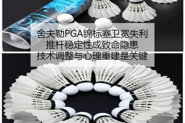she-fu-lei-jin-biao-sai-wei-mian-shi-li-tui-gan-wen-ding-xing-cheng-zhi-ming-yin-huan-ji-shu-tiao-zheng-yu-xin-li-chong-2-731.jpg