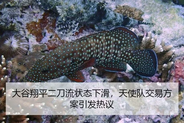 da-gu-xiang-ping-er-dao-liu-zhuang-tai-xia-hua-tian-shi-dui-jiao-yi-fang-an-yin-fa-re-yi-2-163.jpg