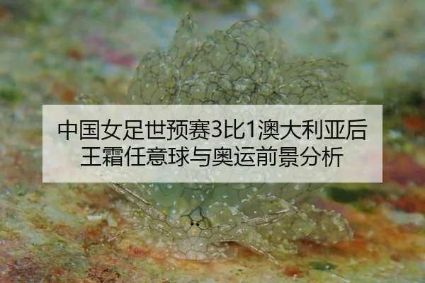 zhong-guo-nv-zu-shi-yu-sai-bi-ao-da-li-ya-hou-wang-shuang-ren-yi-qiu-yu-ao-yun-qian-jing-fen-xi-3-815.jpg