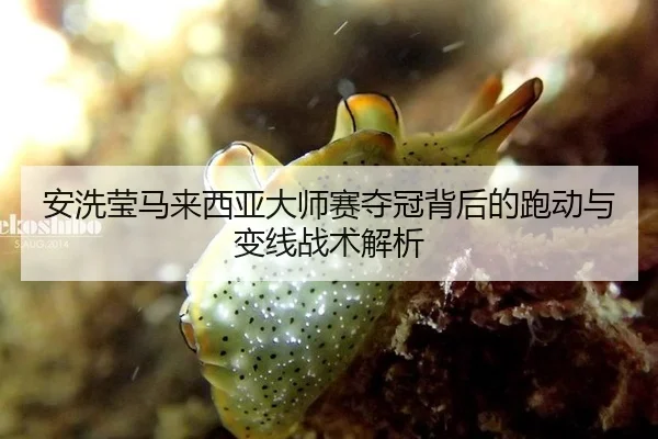 安洗莹马来西亚大师赛夺冠背后的跑动与变线战术解析