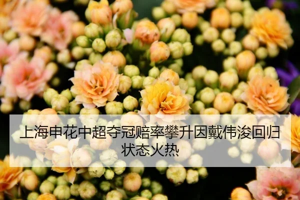 shang-hai-shen-hua-zhong-chao-duo-guan-pei-lv-pan-sheng-yin-dai-wei-jun-hui-gui-zhuang-tai-huo-re-2-939.jpg